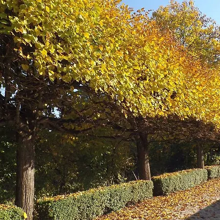 Hotel Aquamarin Hévíz