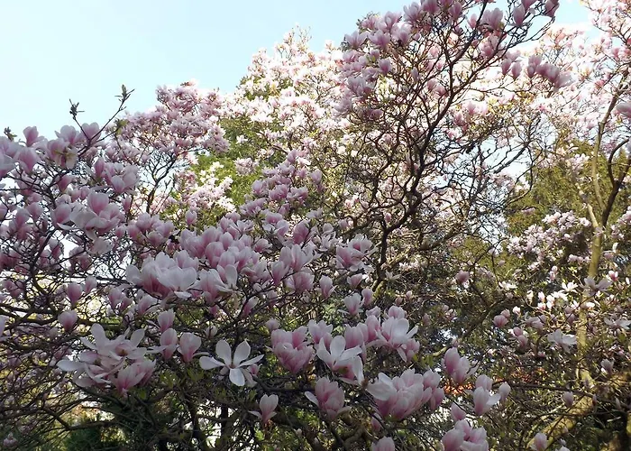 Aquamarin ホテル 3*